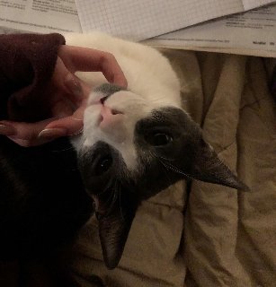 876935-EE-92-F4-4822-8-DF1-5350503-E6168