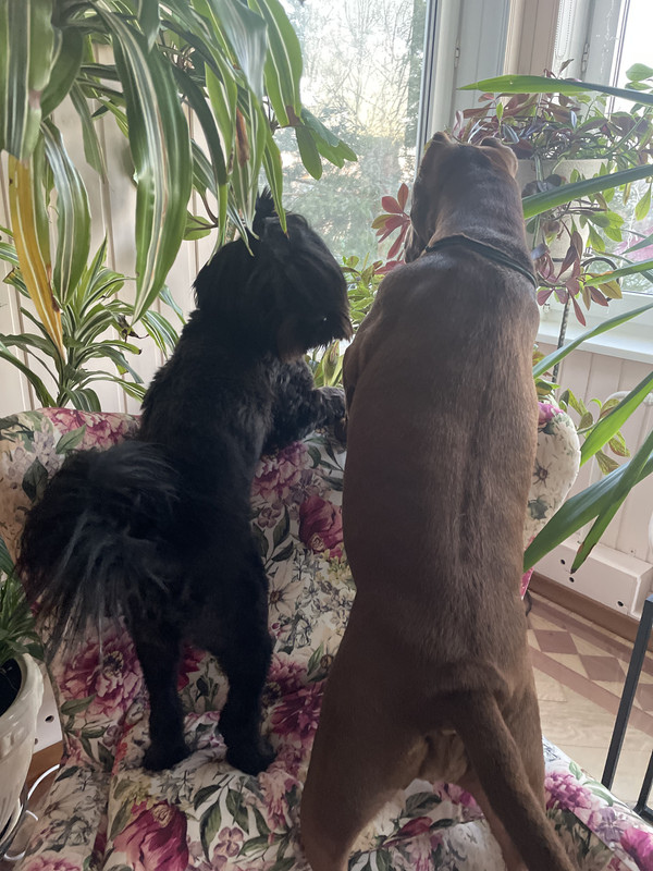 0AC0C9E1-036A-4B4A-ACD2-0926DD1DAA65