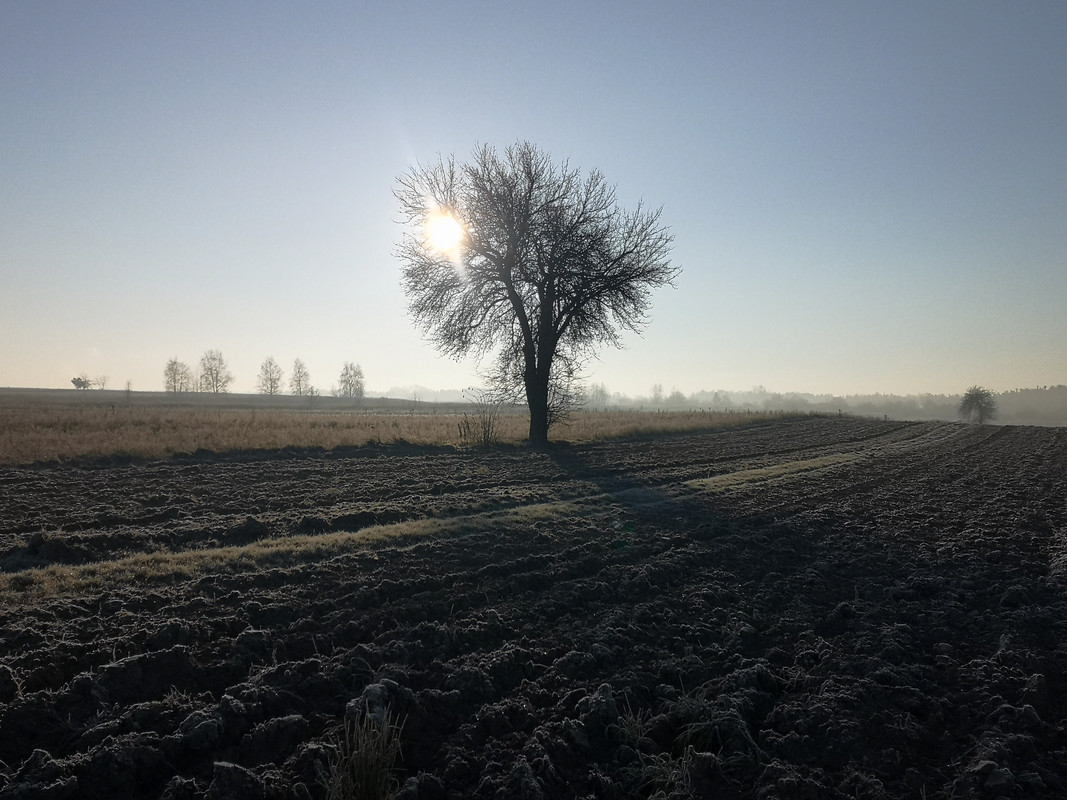 [Obrazek: IMG-20181128-084526.jpg]