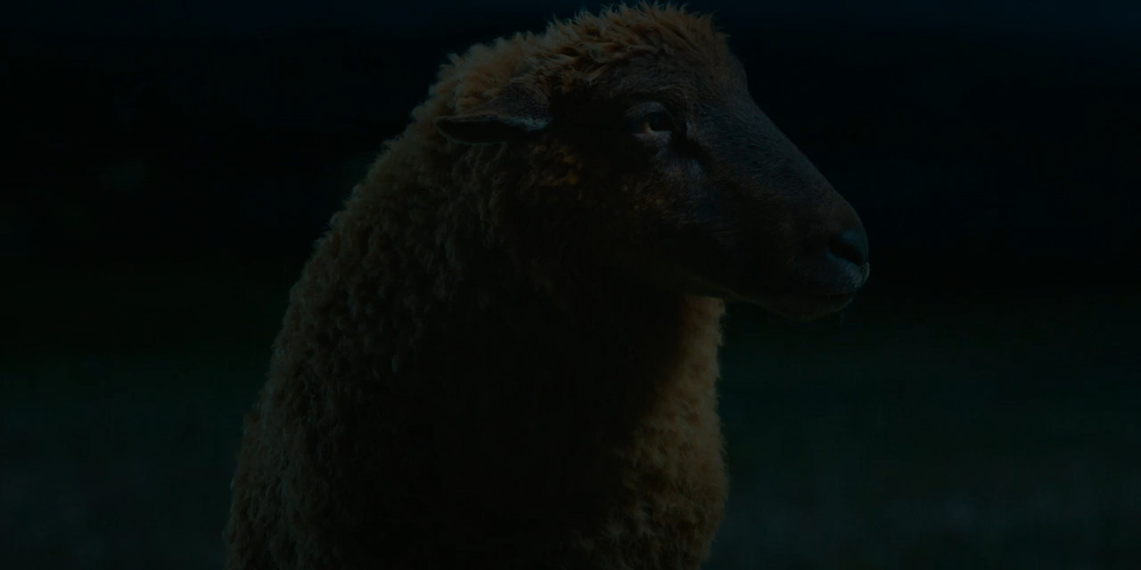 The Sheep Detectives 2026 WebRip [Hindi + Tamil + Telugu + Malayalam + Kannada + English] 480p 720p ESub Screenshot
