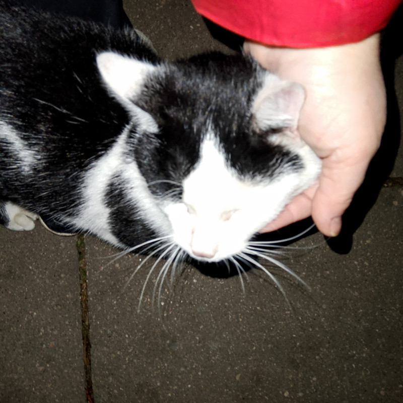 IMG_20241125_221142~2