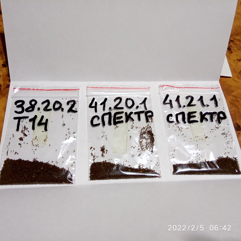16440181069037042934422989695773.jpg