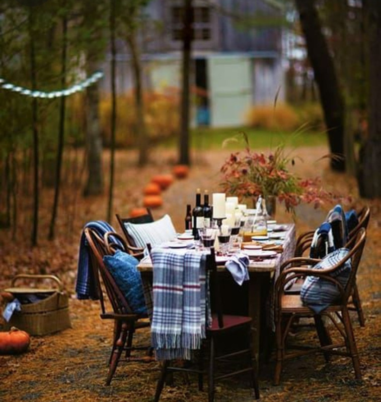 Screenshot_20231115_213940_Pinterest