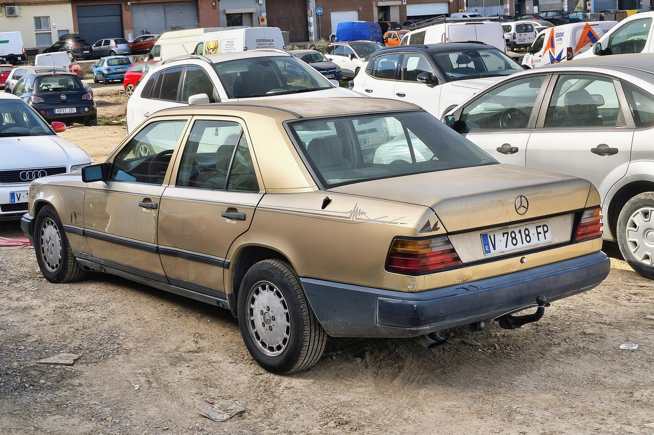 IMG-20261014-160138888-HDR-2.jpg