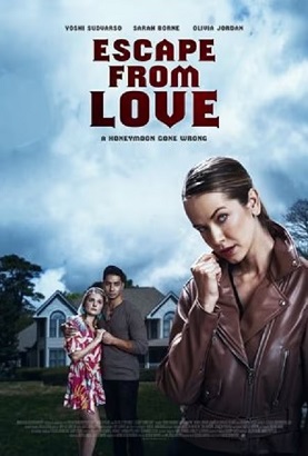 Un Amore in Pericolo (2023) HDTV 1080P ITA ENG AC3 x264 mkv