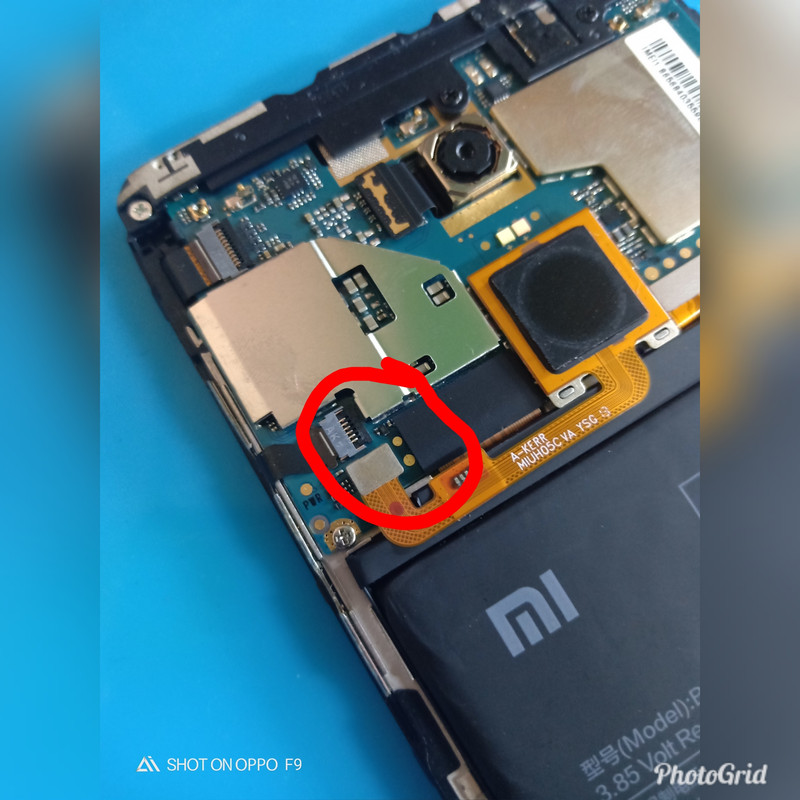 PhotoGrid_1536744819089