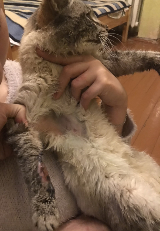 1D0D7761-5F7B-4C58-81C8-77F42203A97B