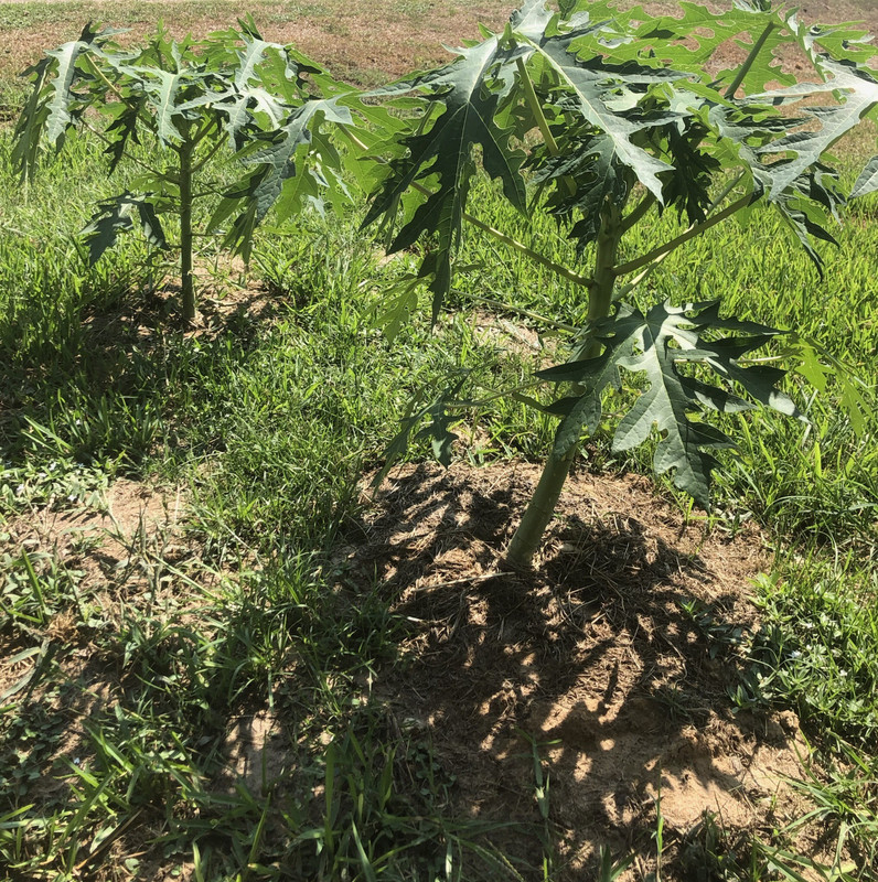 2B0CEB84-859F-4D86-9C60-3C26BBA35CDF