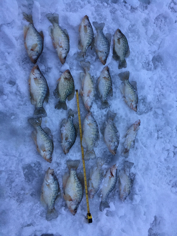 E2CB1CB9-4FB4-4D44-A242-B28BD6068D21