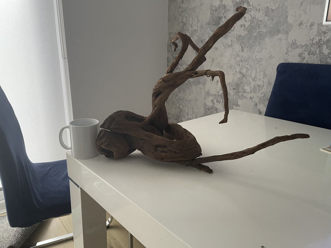 F1D31A9E-F1F2-4EAD-A0E5-A743DB9B43C6