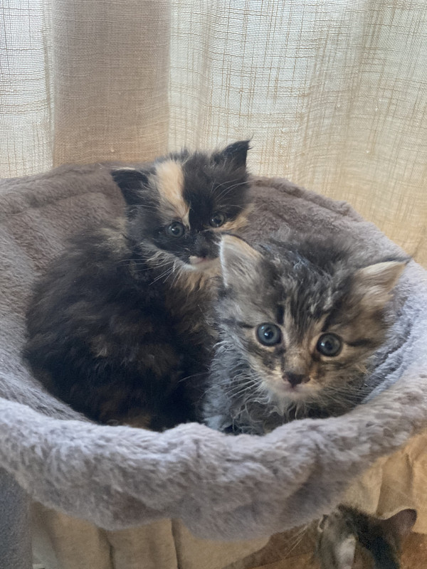 CA4B16A8-FFF1-4012-8151-E28259CB7276