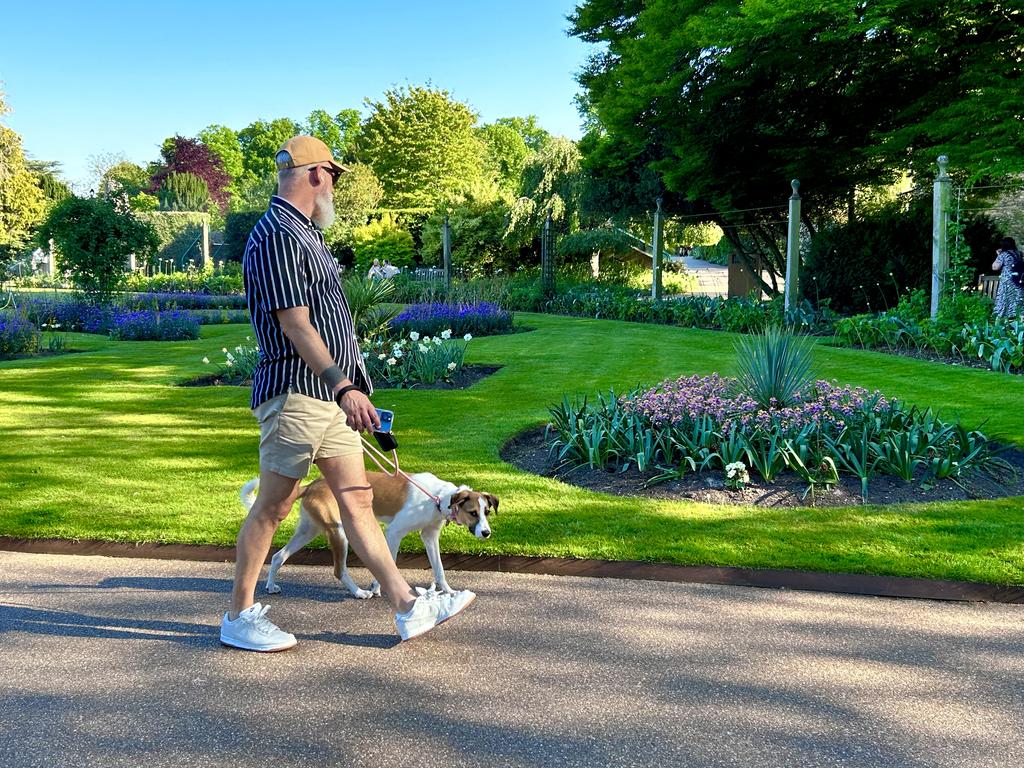 Пёстрая лента. Путешествие по сельским дорогам Англии в мае 2025 г.