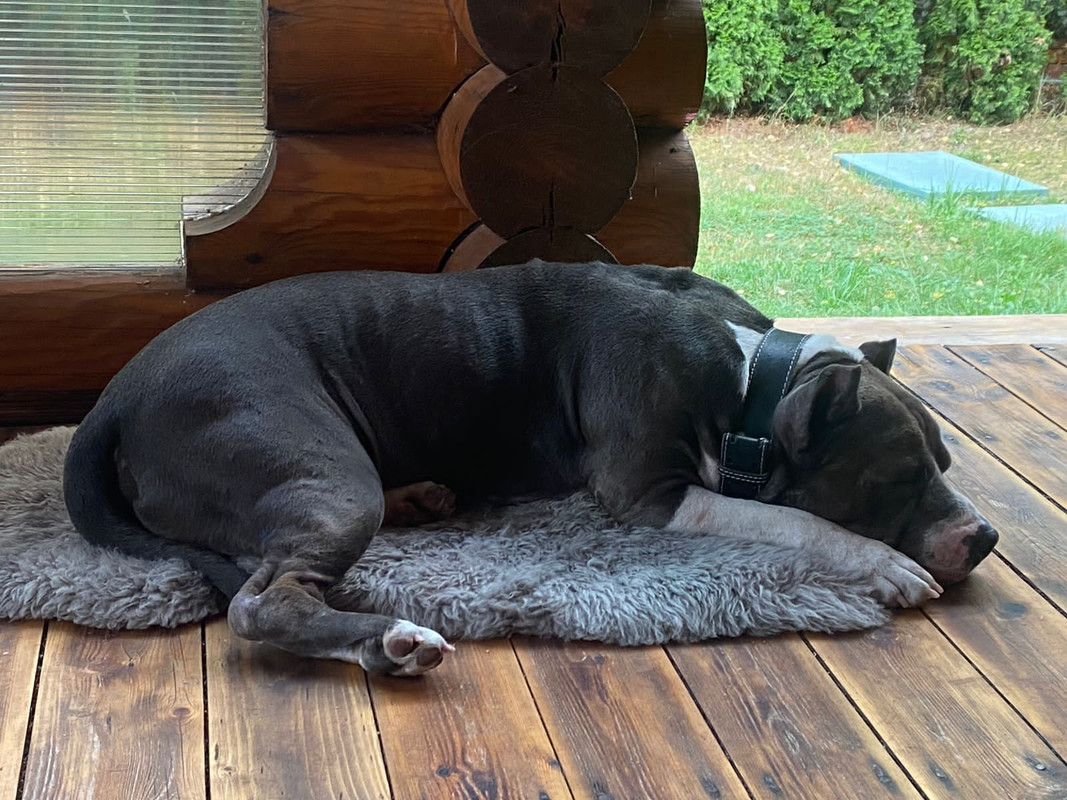 EF9E0E24-4B2D-477F-8C1F-C13F92F59A10