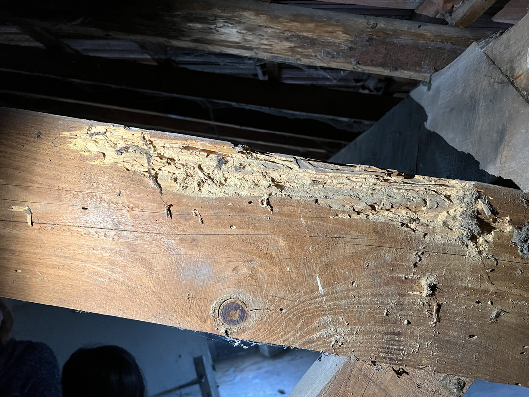 5C989045-DD34-427A-8F0C-836700C6F53F