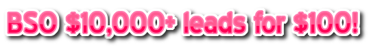 [Image: bso-10k-leads.png]