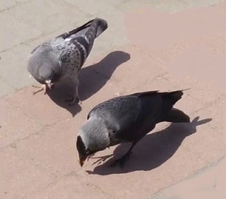 12 ГуляТаГаля