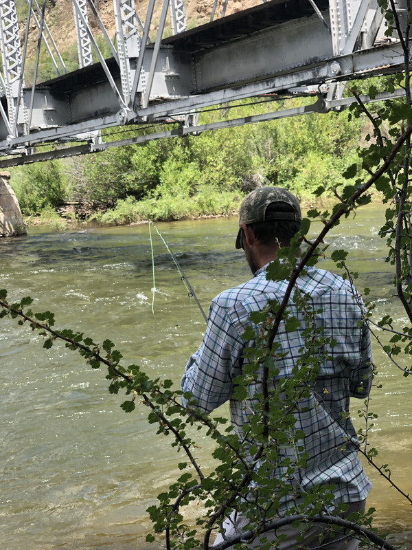 8E2388BA-62C3-4DCA-B097-A92B912955D6