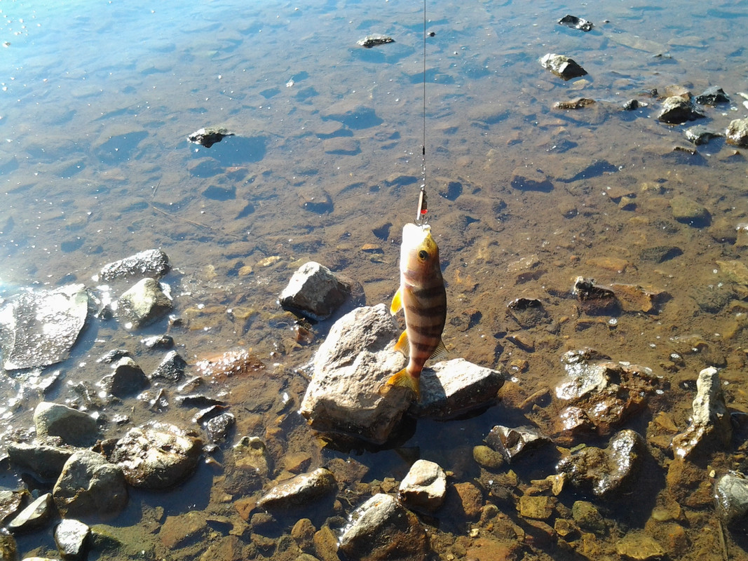 поход 1 мая 081