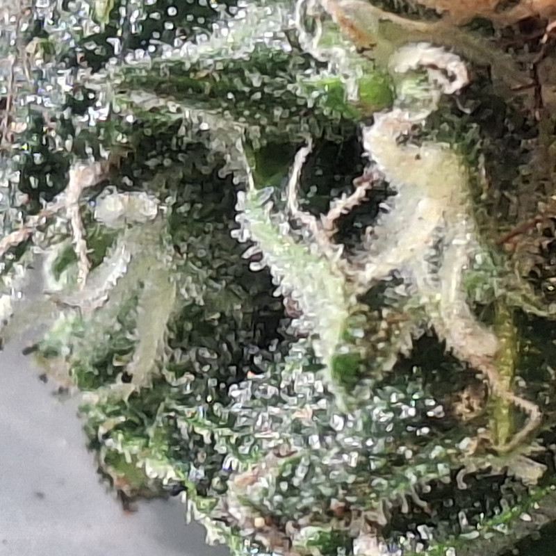 Whats App Image 2026 03 20 at 15 58 47