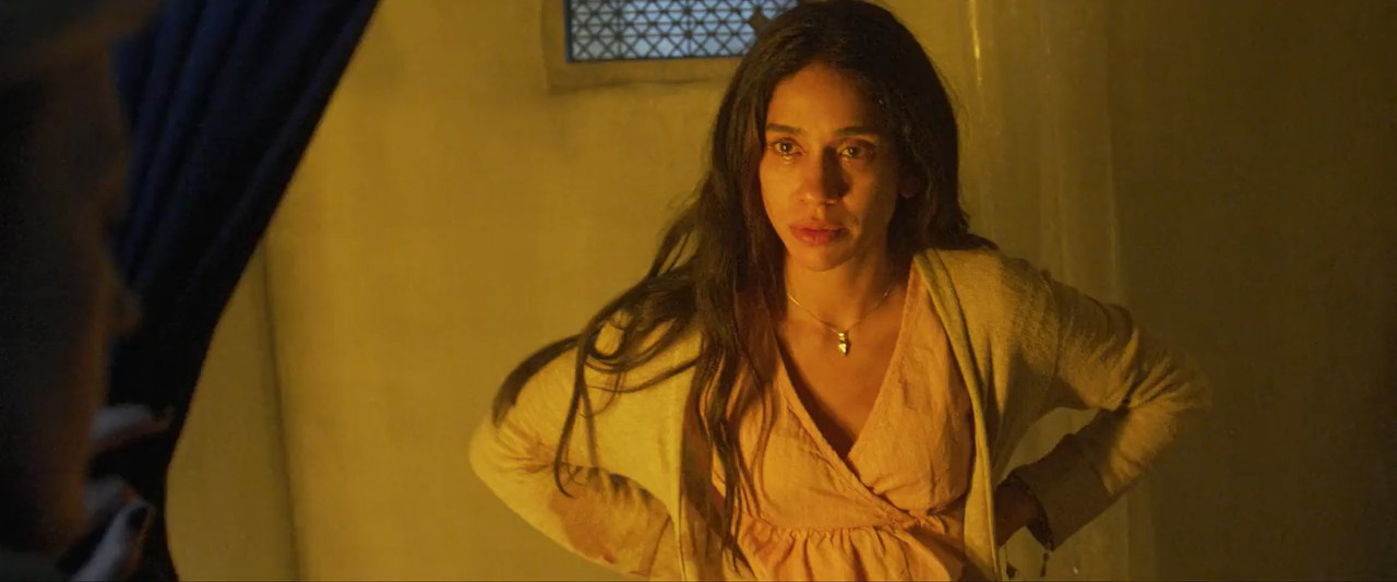 Dominique 2024 WebRip [Hindi + Tamil + Telugu + English] 480p, 720p ESub Screenshot