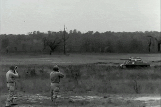 https://i.postimg.cc/zvPrvhH2/video-2026-08-18-09-21-02-(1).gif