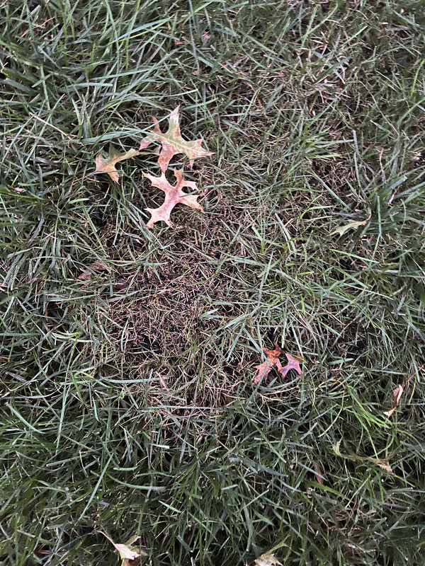 B62A0DC4-DC25-41F1-AF97-F4311B3290A5