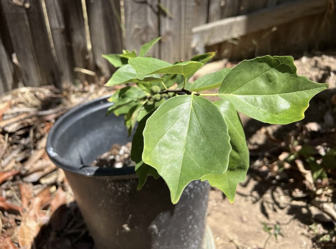 7C29B69E-404D-45F7-9F09-30BFB071C8FA