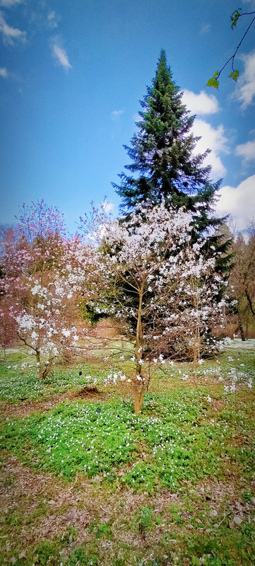 008 - IMG_20210502_002150