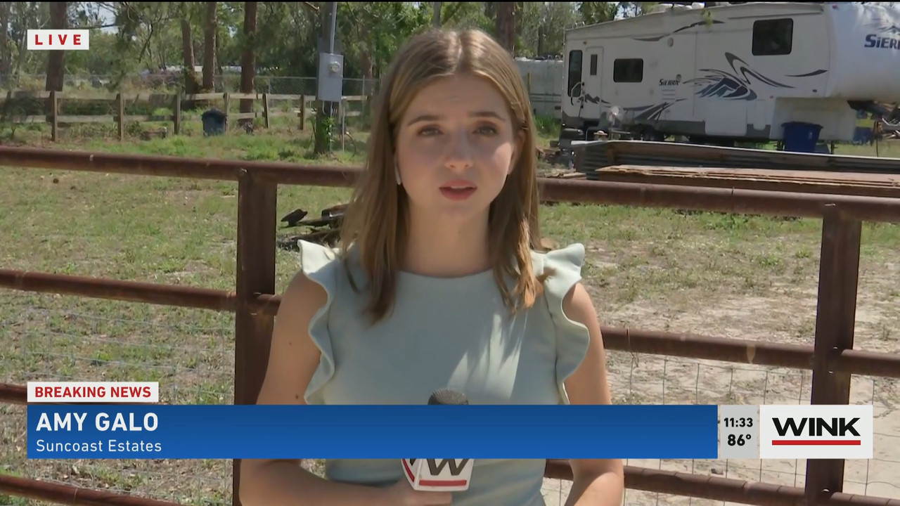04.16 - 16.30.00 - WINK NEWS at 11 30am  ᴺᵉʷ. Midday news..ts_snapshot_09.32.155