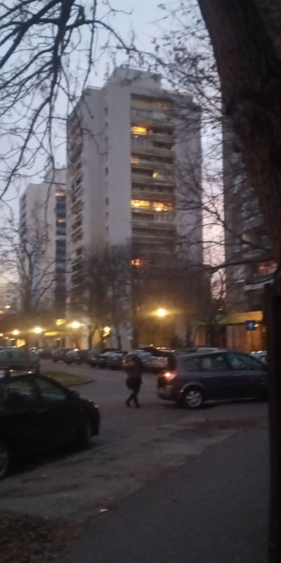 Kép