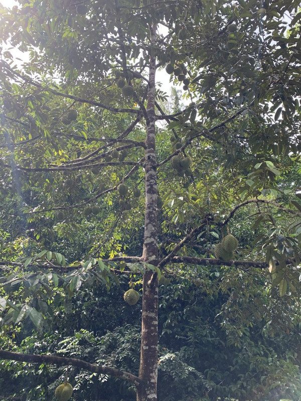 7E648A5D-6C42-451D-86A9-BA1DF4C6FAAC