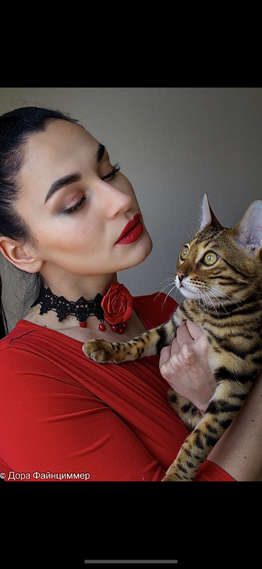 7727131E-0948-4860-B463-E98AD24D0ACD