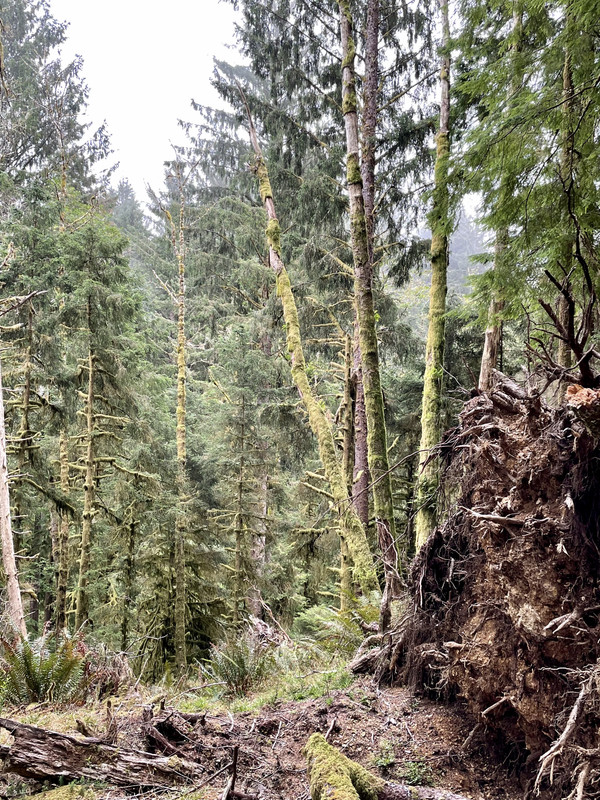 90D4869A-156F-4792-93A0-B62C2C8DE78C