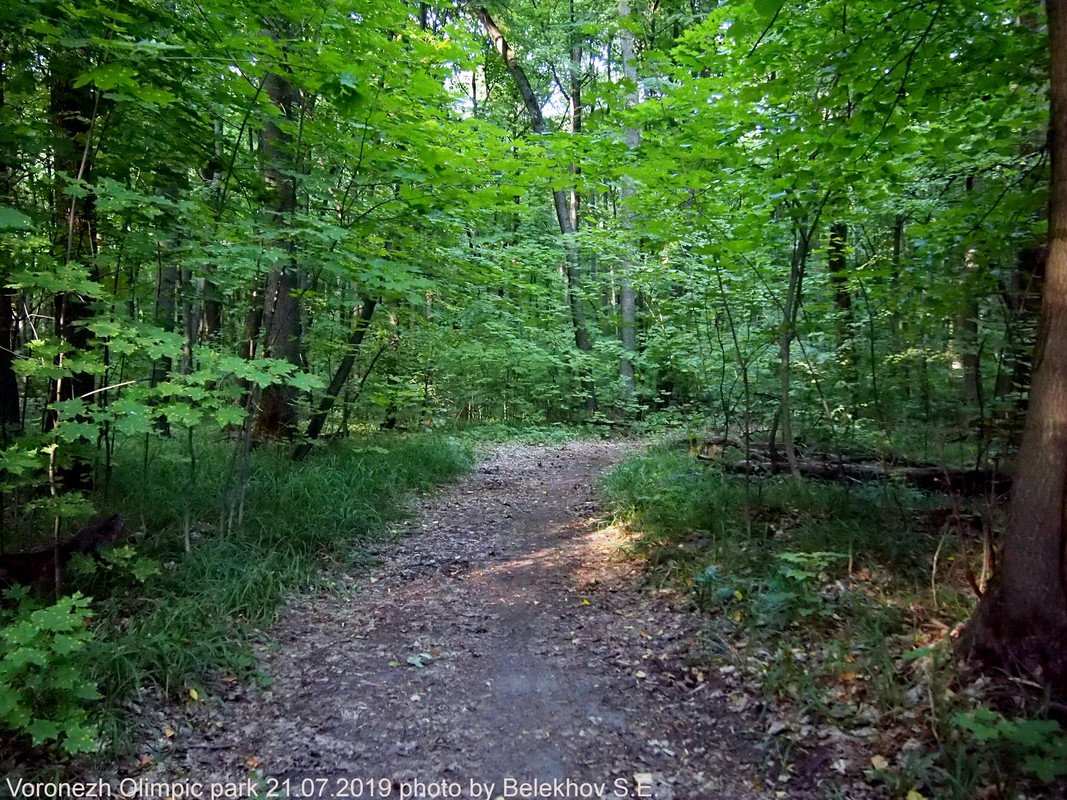 Воронеж, Олимпик