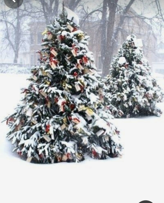 Screenshot_20231223_230247_Pinterest