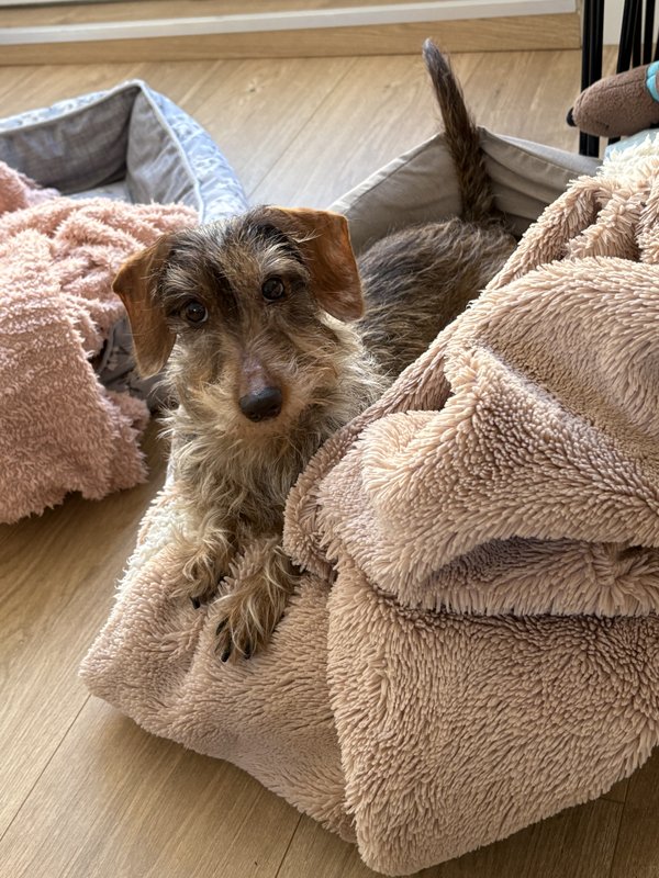 [Image: IMG-0046.jpg]