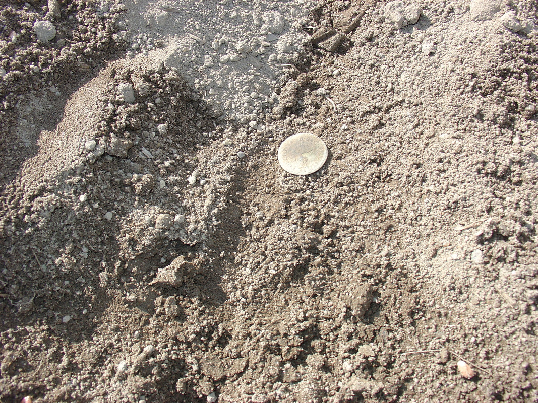 2014-04-26 - Vasumet Pederså 03