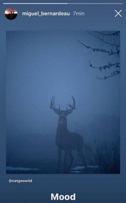 49975471-21F6-4DAC-8B48-281F082BDA7C