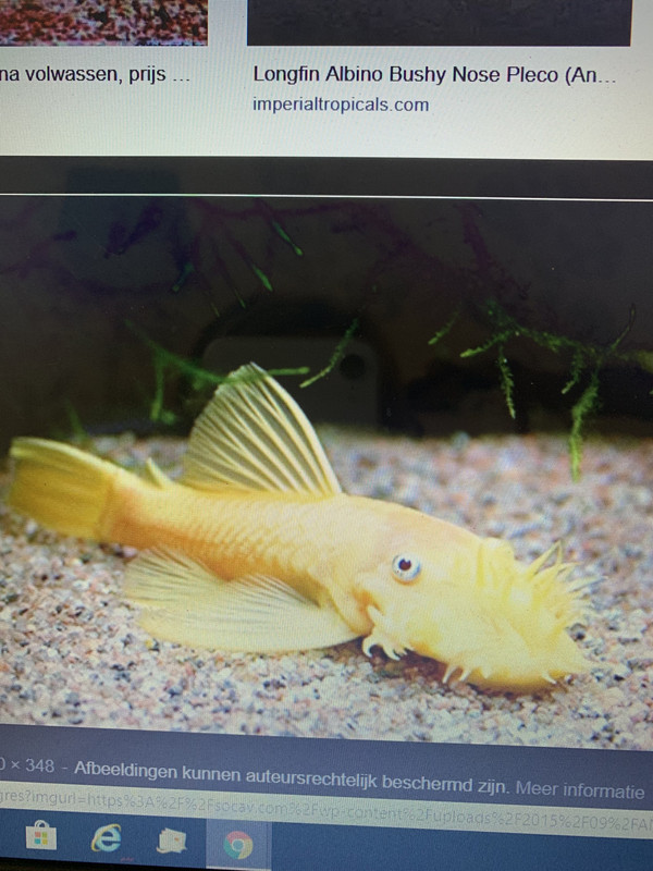 E910CB41-4E0D-4694-A10D-8239641E1E5C