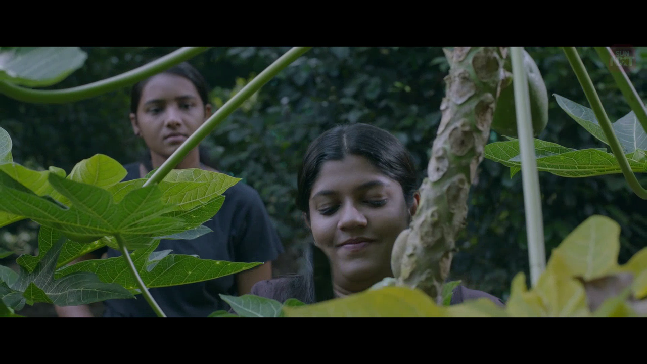 vlcsnap 2026 02 11 15h43m35s311