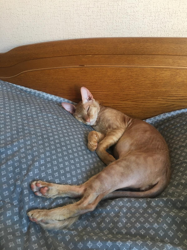 63A4F4FD-BED8-4566-B928-C21E1DF4C390