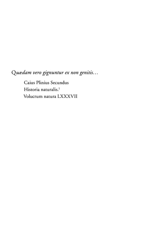 p0006