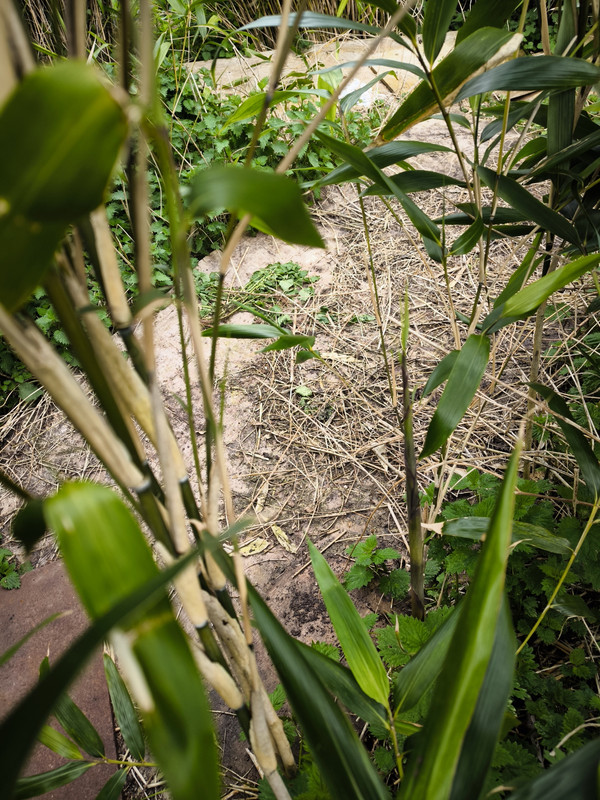 IMG 20260405 165713