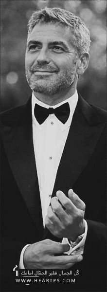 ���� ���� ������ �� ���� ������