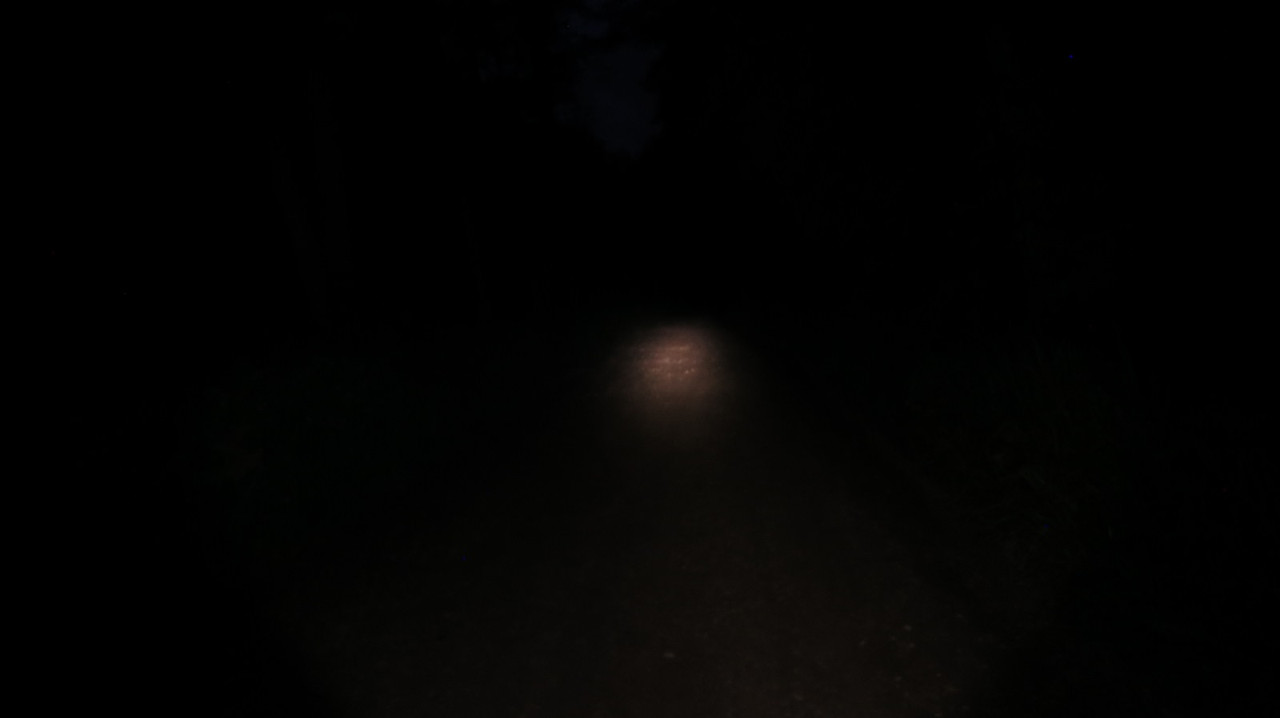 43 fenix ht18 low (Copy)