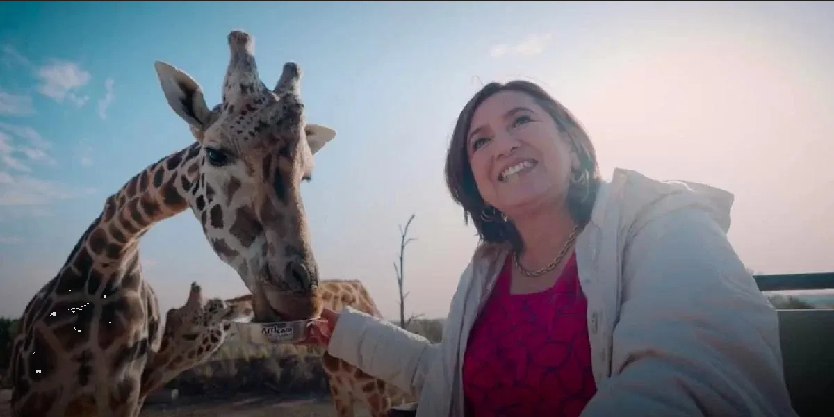 Xóchitl Gálvez visita la jirafa Benito y usuarios la critican por “colgada”