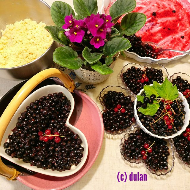 [Image: IMG-20230824-003207.jpg]