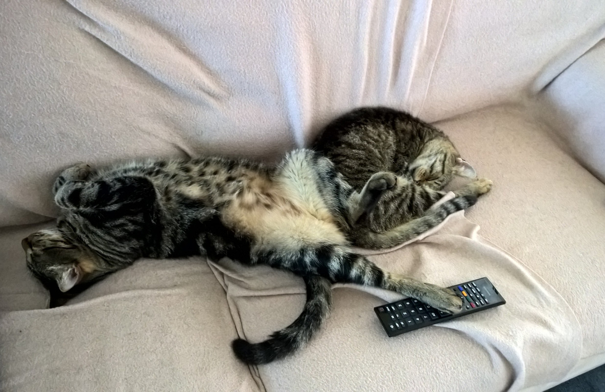 WP_20150310_14_52_22_Pro