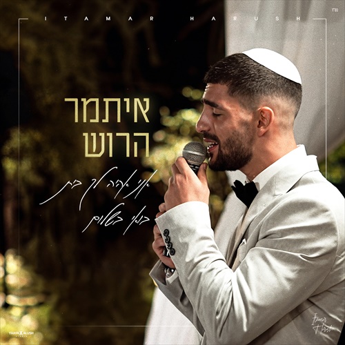 תמונה