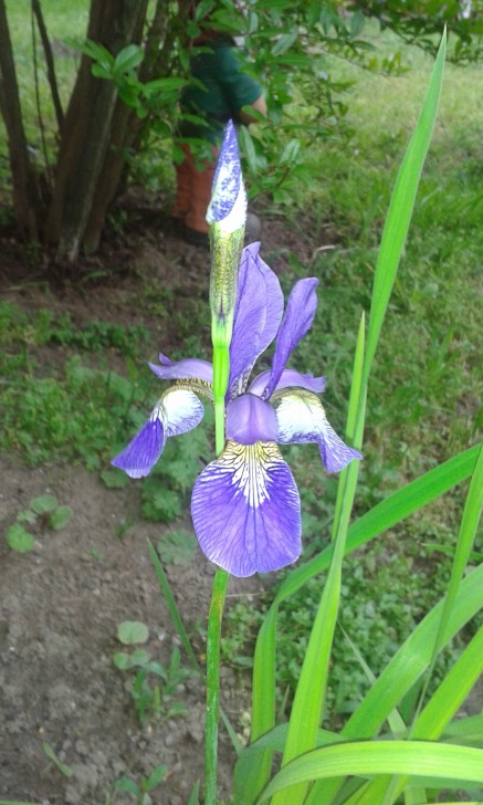 kepatmeretezes_hu_006